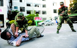 教育部要求将维护校园安全作为重大政治任务
